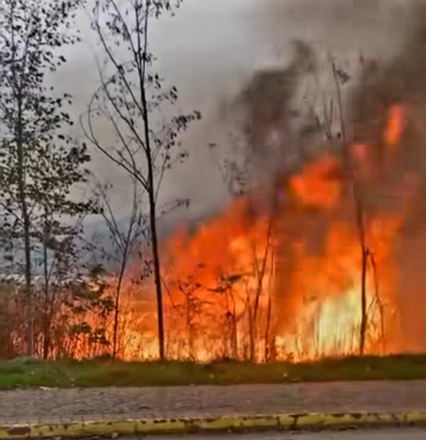 Whatsapp Image 2025 11 23 At 21.44.202