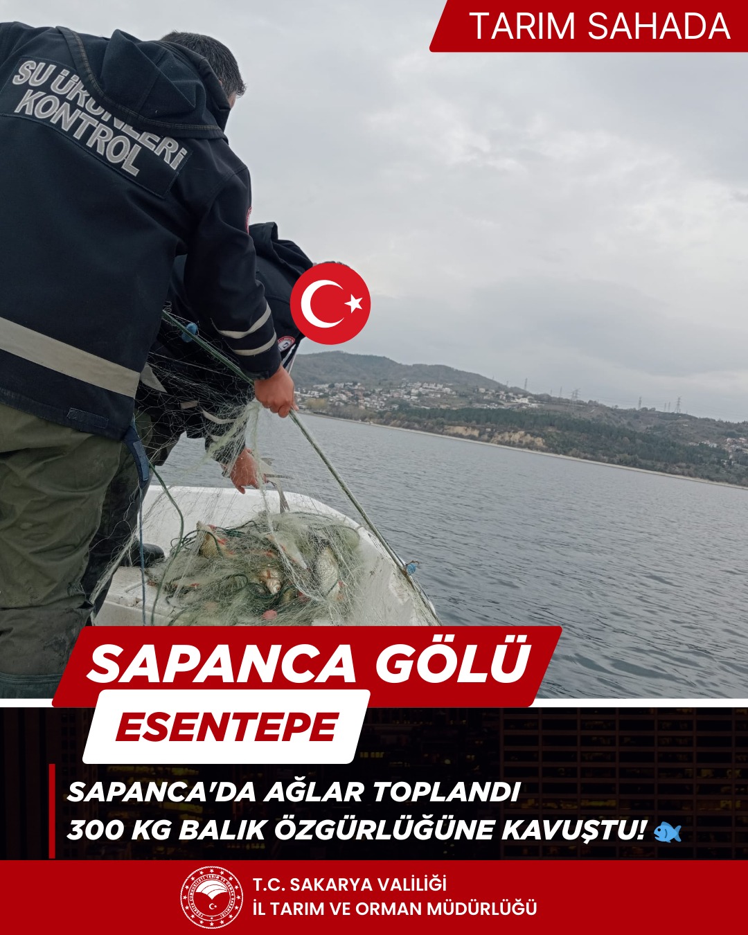 595544893 1188163086829957 5215159715108838715 N