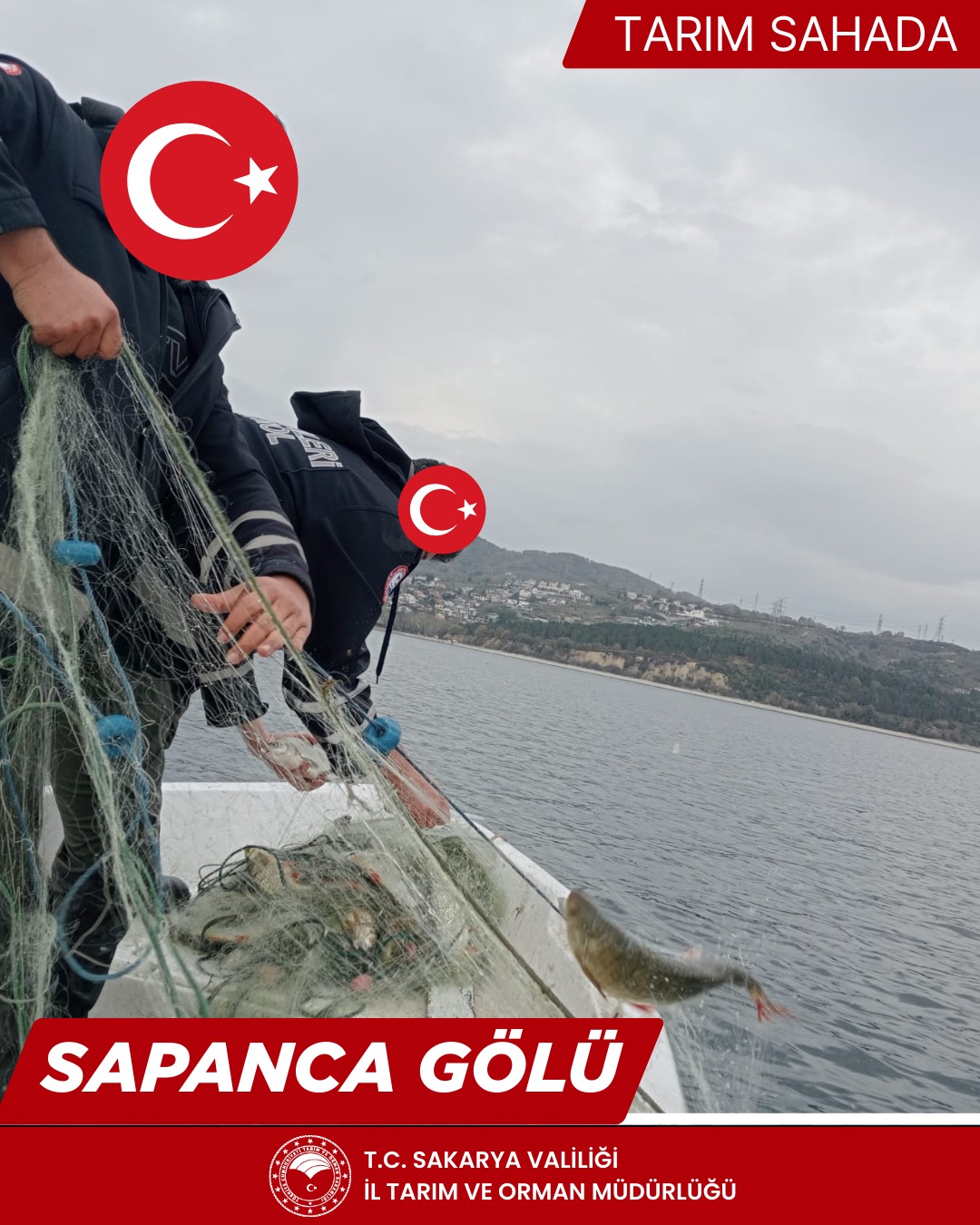 595614432 1188163153496617 6100603365468313343 N