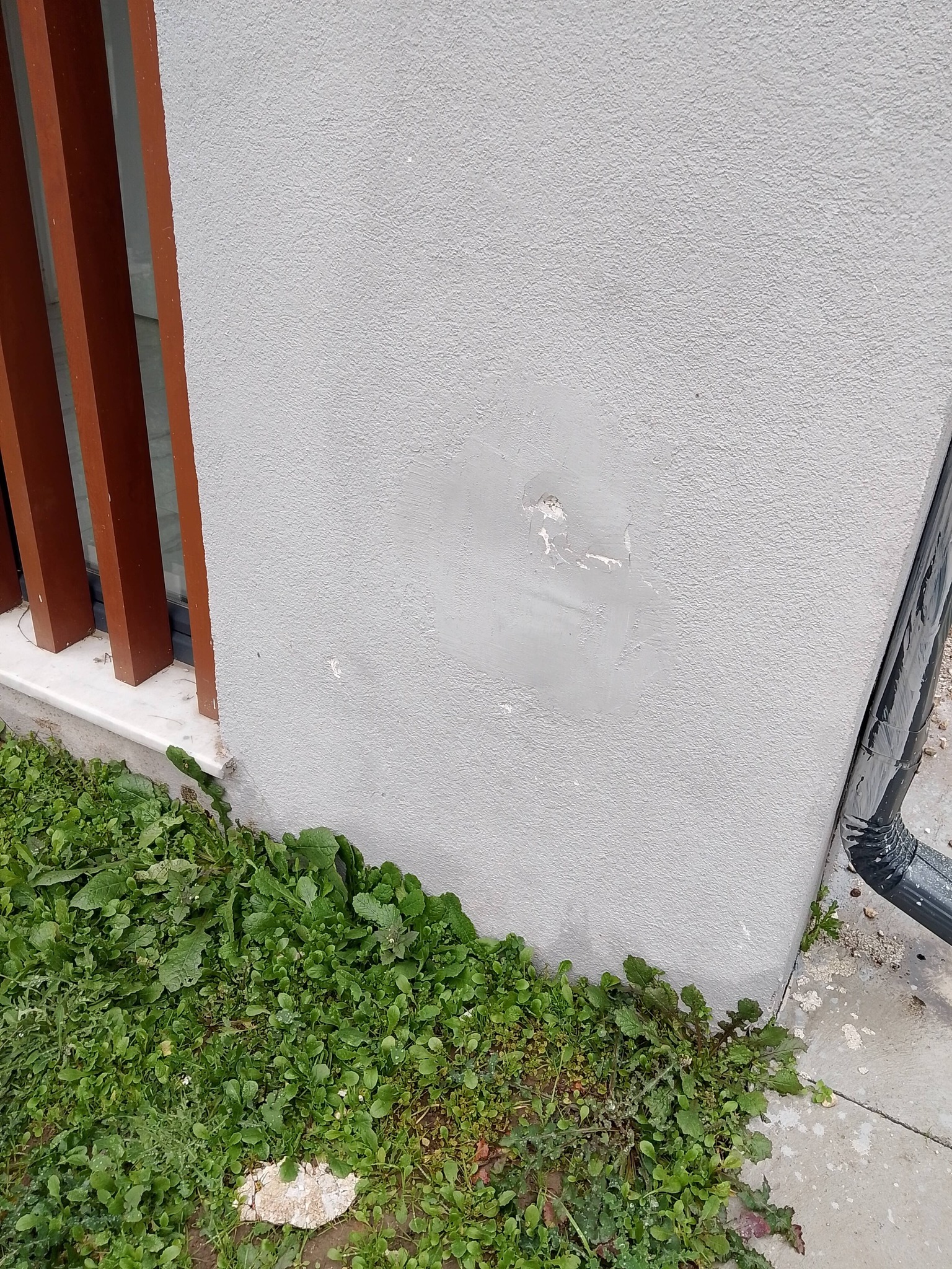 599623709 2255320618277398 5500500314965103154 N