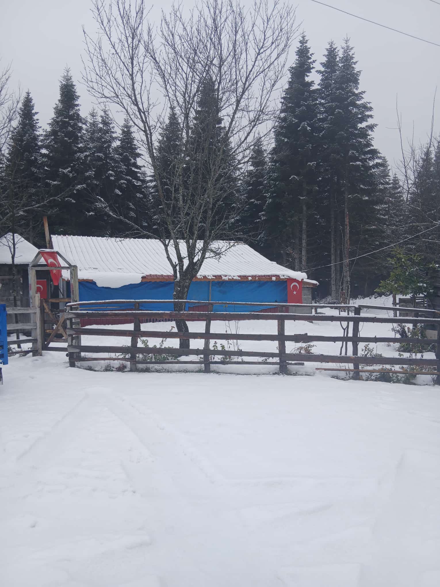 604833915 10164140541168069 8672020826261372423 N