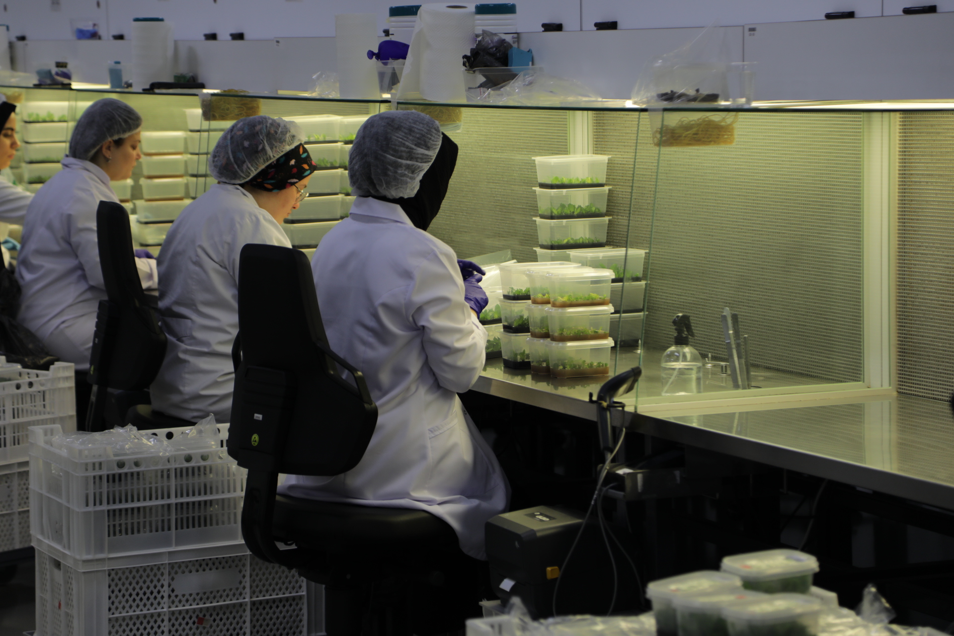 Af53E88984604E80Add6F9Ade364Cf2B5F0A28Cf8C2349438100980109A2312B