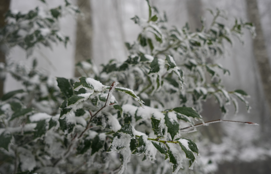 Ekran Görüntüsü 2025 12 16 223134