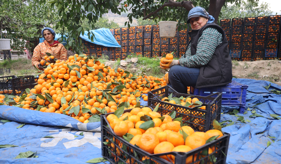 Ekran Görüntüsü 2025 12 29 203026