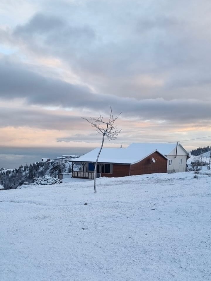 Whatsapp Image 2025 12 01 At 12.30.44