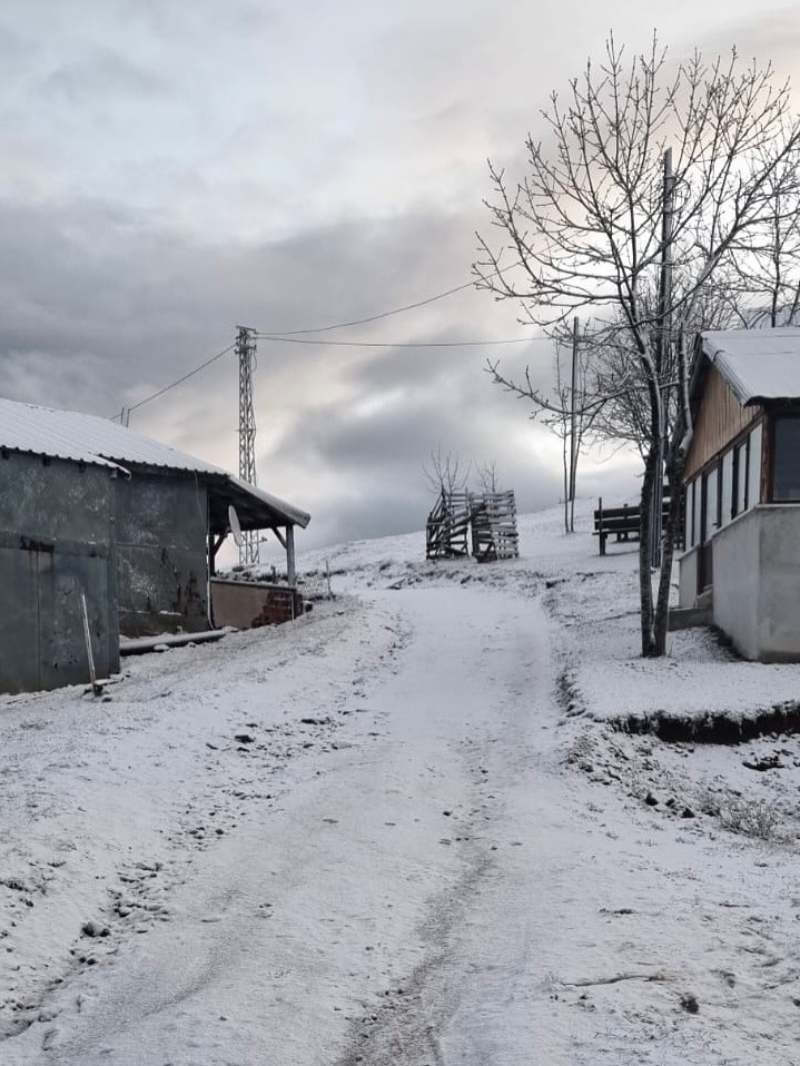 Whatsapp Image 2025 12 01 At 12.30.45