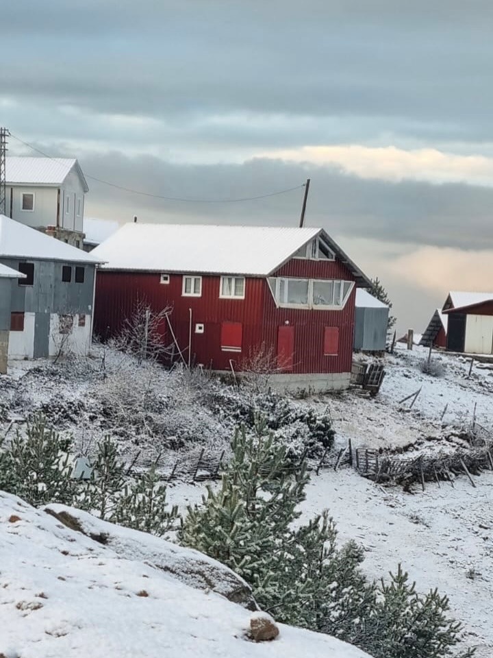 Whatsapp Image 2025 12 01 At 12.30.453