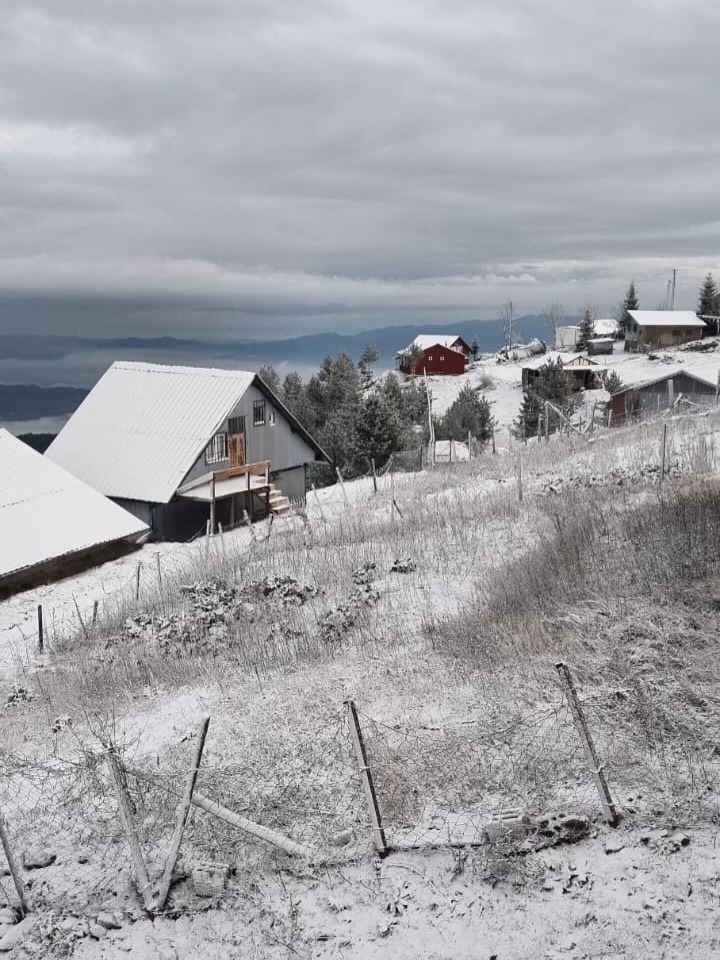 Whatsapp Image 2025 12 01 At 12.30.454