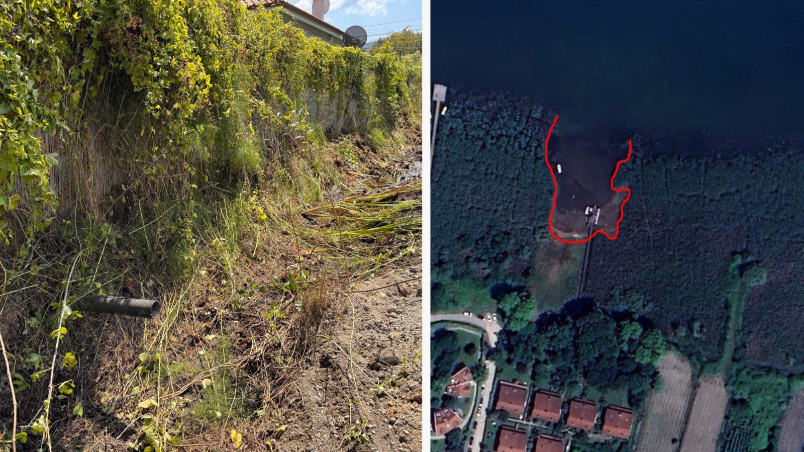 Whatsapp Image 2025 12 12 At 18.55.256