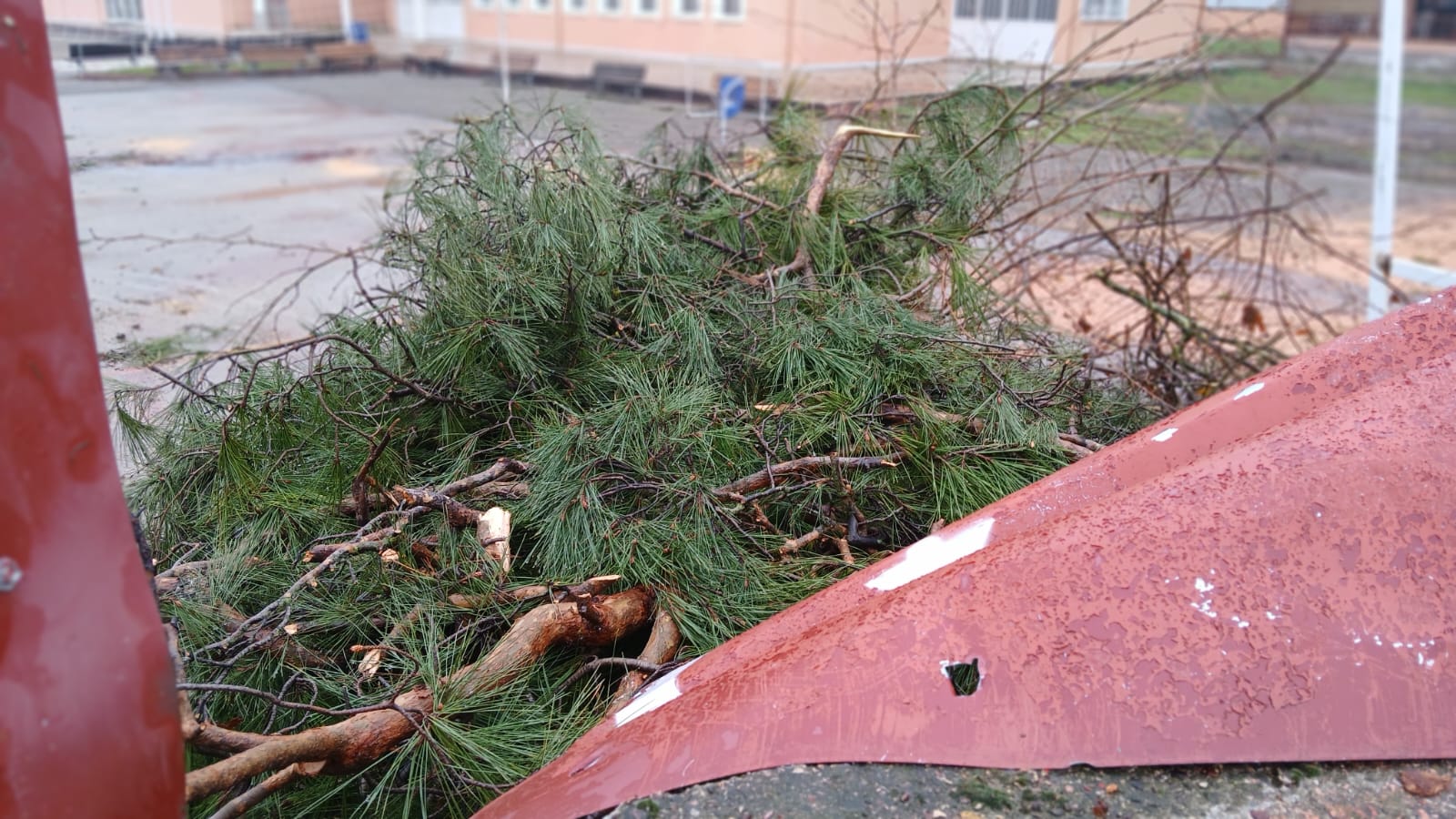 Whatsapp Image 2025 12 22 At 14.22.543