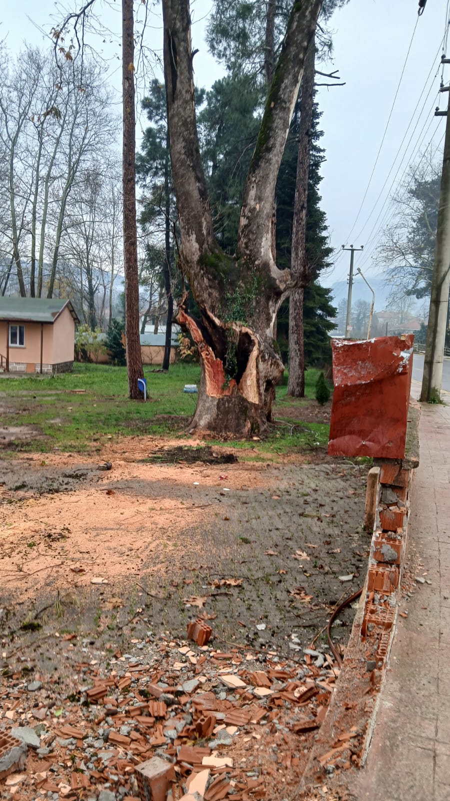 Whatsapp Image 2025 12 22 At 14.22.55