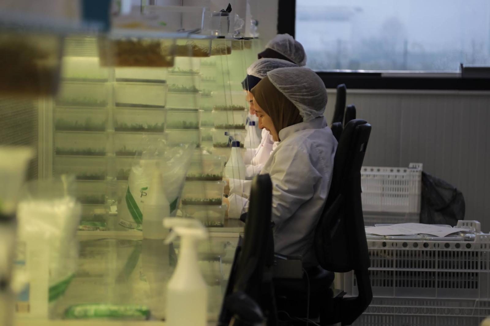 Whatsapp Image 2025 12 22 At 18.46.19