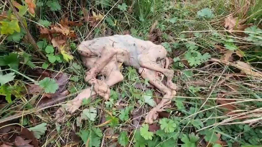 Whatsapp Image 2025 12 26 At 11.50.044