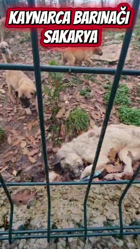 Whatsapp Image 2025 12 26 At 11.50.052