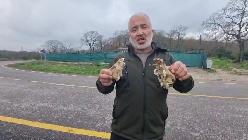 Whatsapp Image 2025 12 26 At 11.50.053