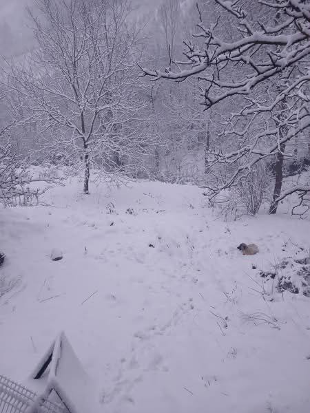 Whatsapp Image 2025 12 27 At 12.19.55