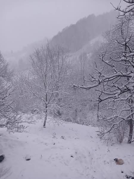 Whatsapp Image 2025 12 27 At 12.19.562