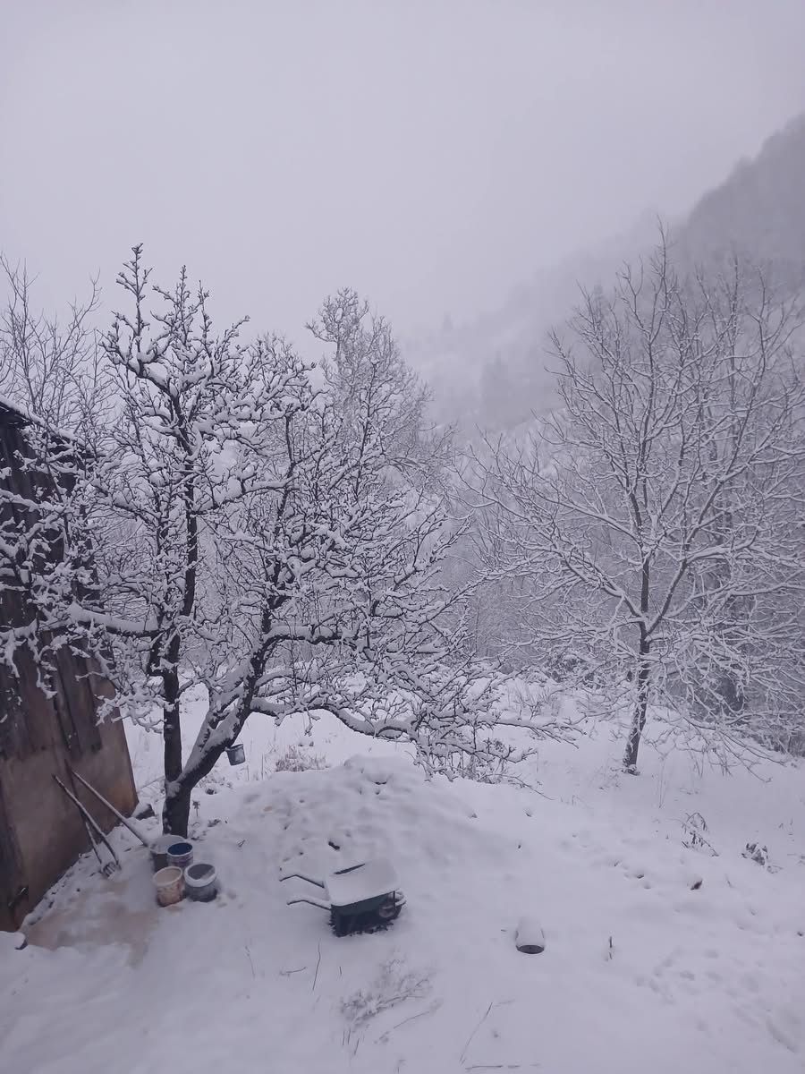 Whatsapp Image 2025 12 27 At 12.19.563