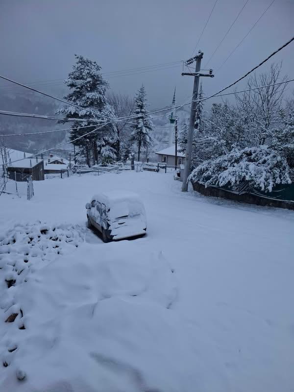 Whatsapp Image 2025 12 27 At 12.30.263