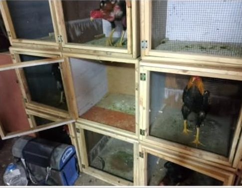 Whatsapp Image 2025 12 29 At 13.52.183