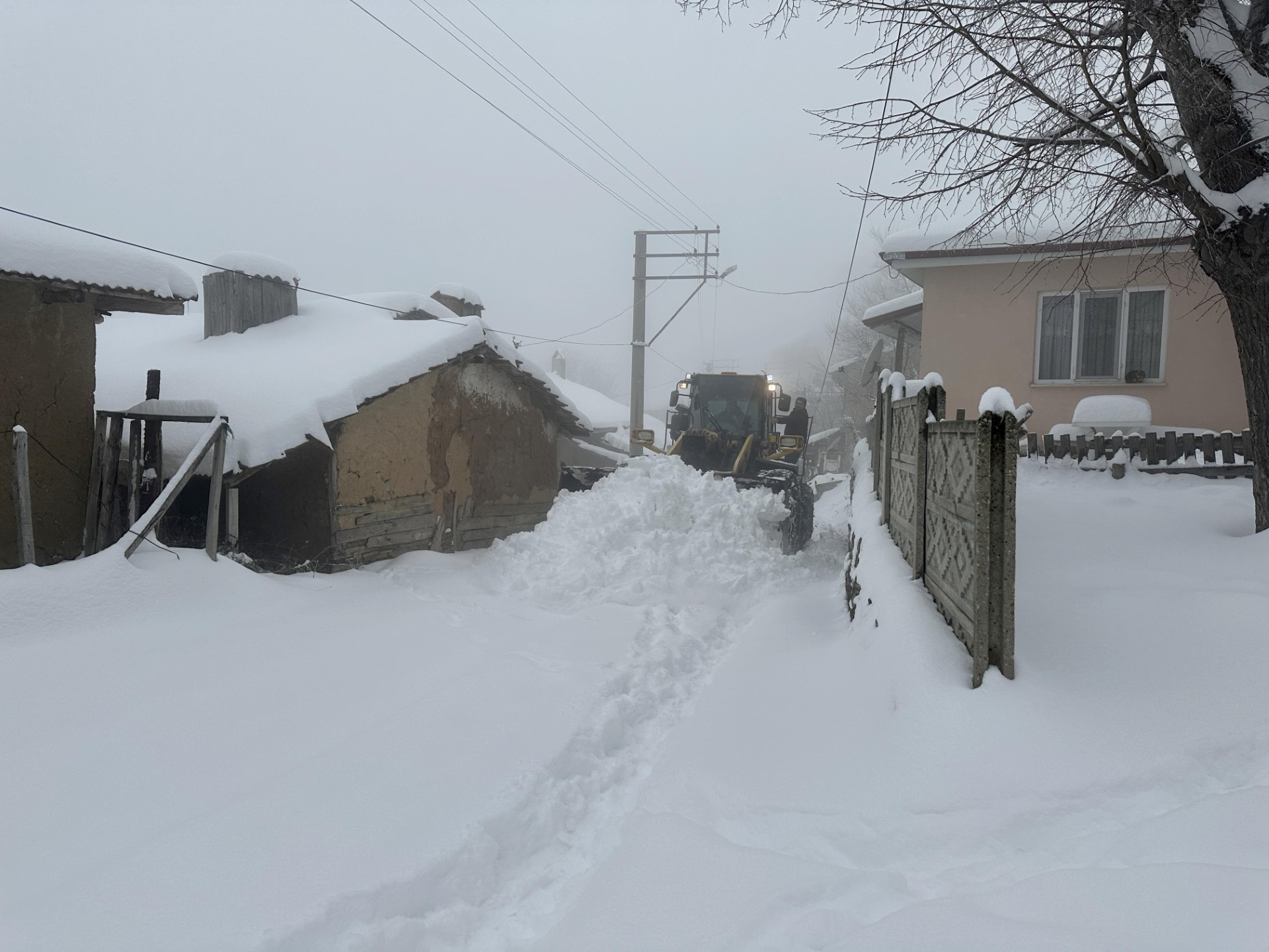 023A1Ceb 0C43 41Ee 8Cbc 8D298Aa159Aa