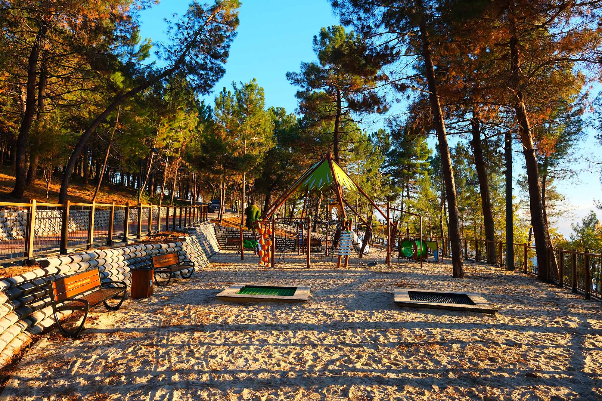 083Afcf9 2819 4088 B491 252Da7A6F7E4