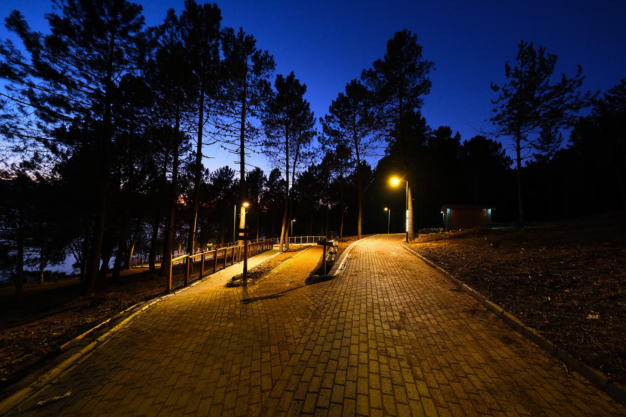 13Eab11B 17E0 4007 9109 07839D05E0A8