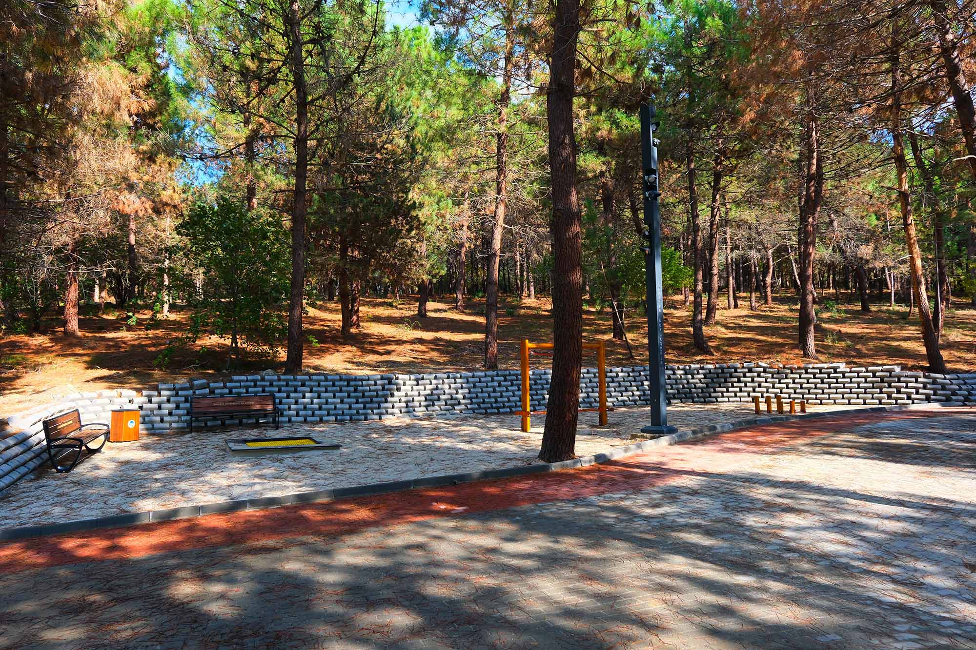 1D62F1Ea Dfca 49Cd 9D3E 0F570B64D234