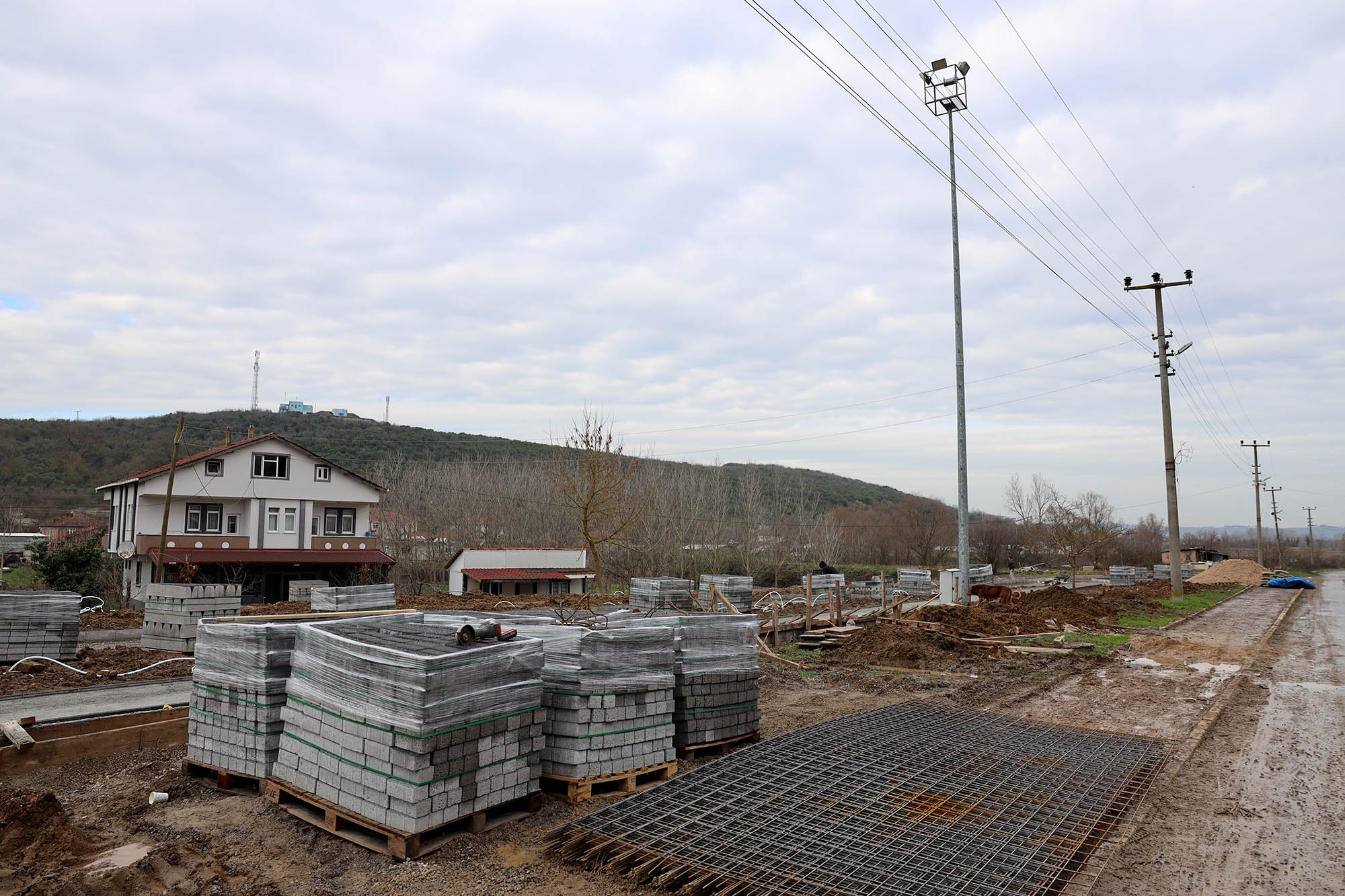 39Cf8D20 552A 473A Aa60 Fb14386401D1