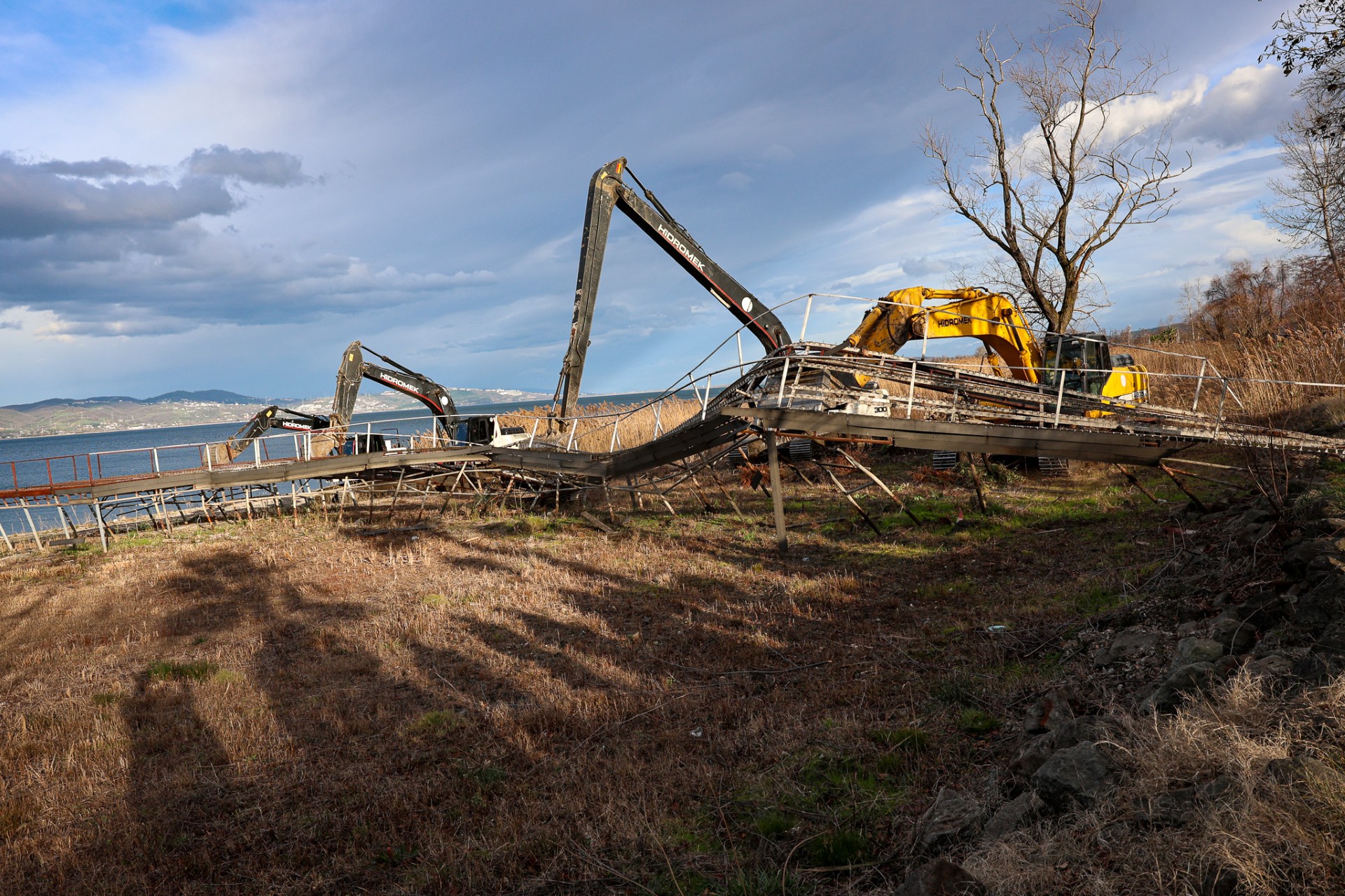 57335Fc7 A4E8 4520 97B4 4Eab6Ba20E63