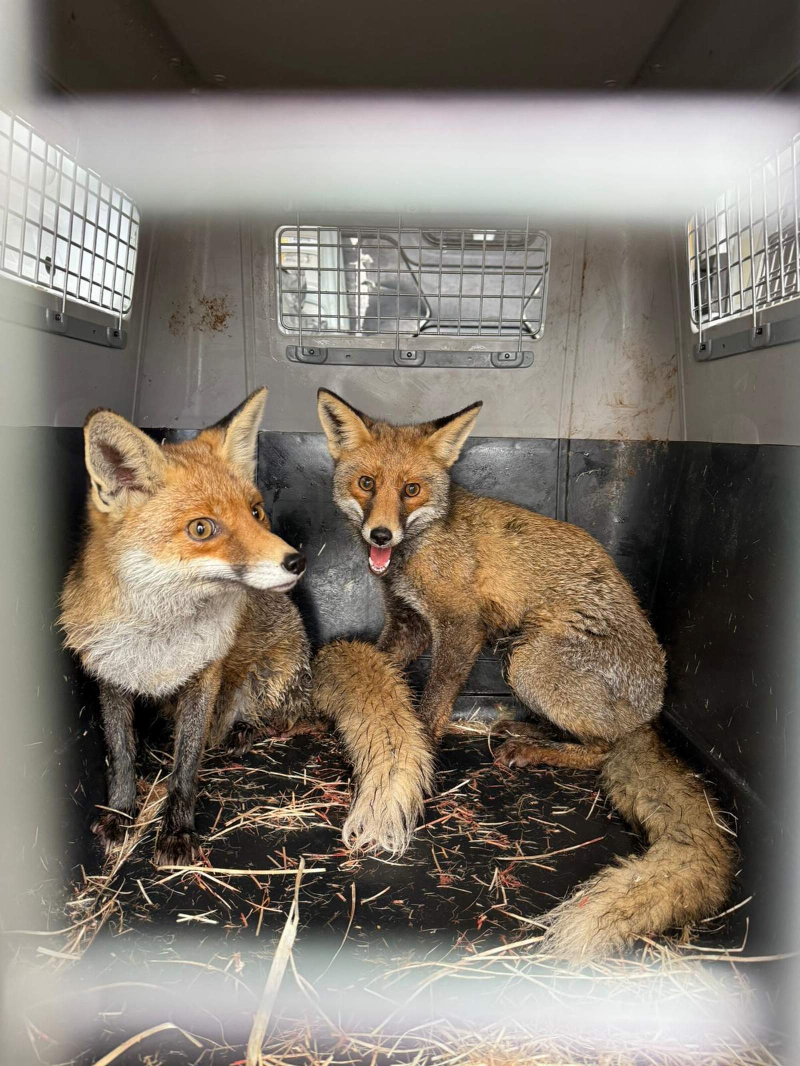 830F92D9 8793 4447 B20E 815Efa3639Fb