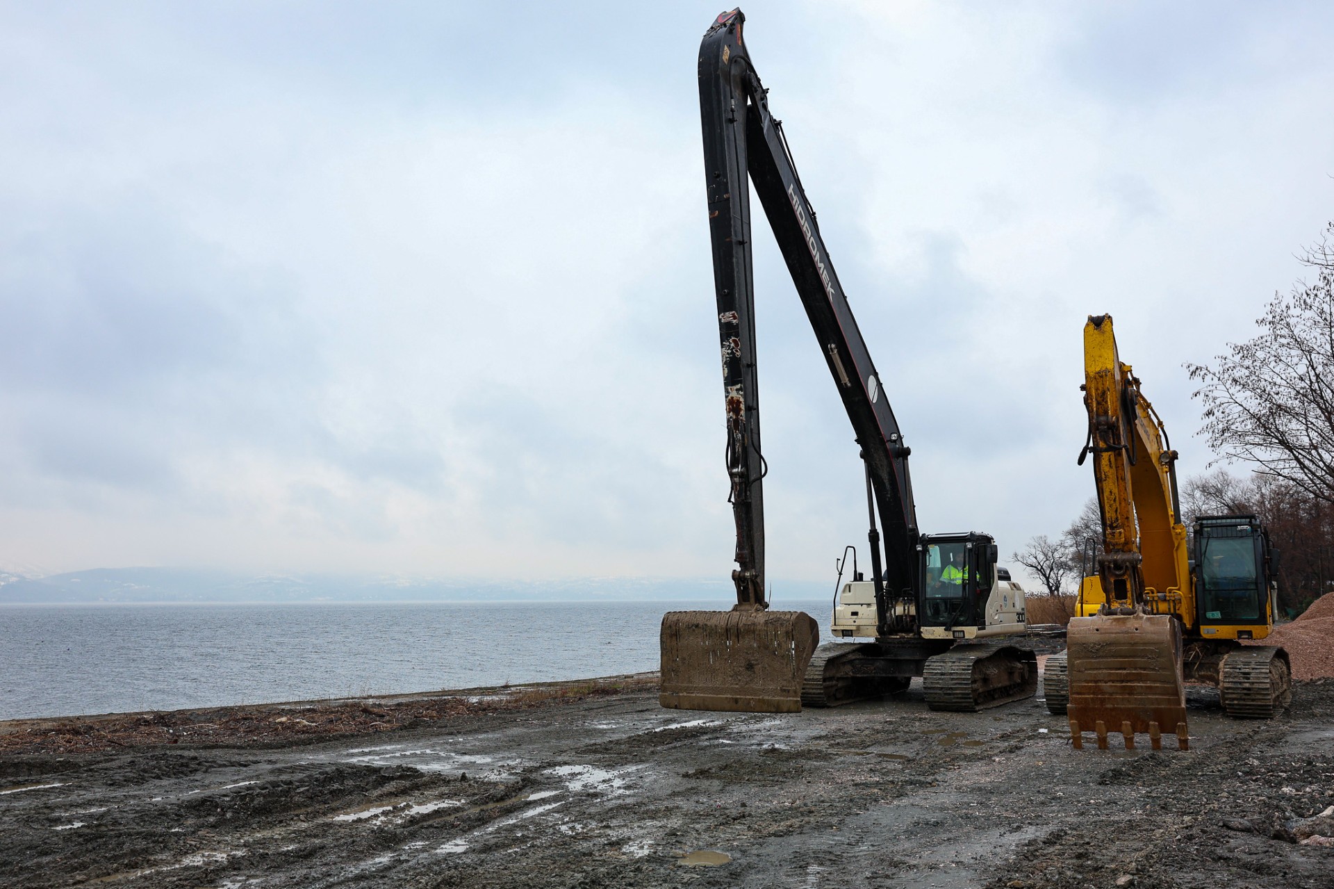 A3903B8E Bf77 4794 8B6E Fce74C09A1B5