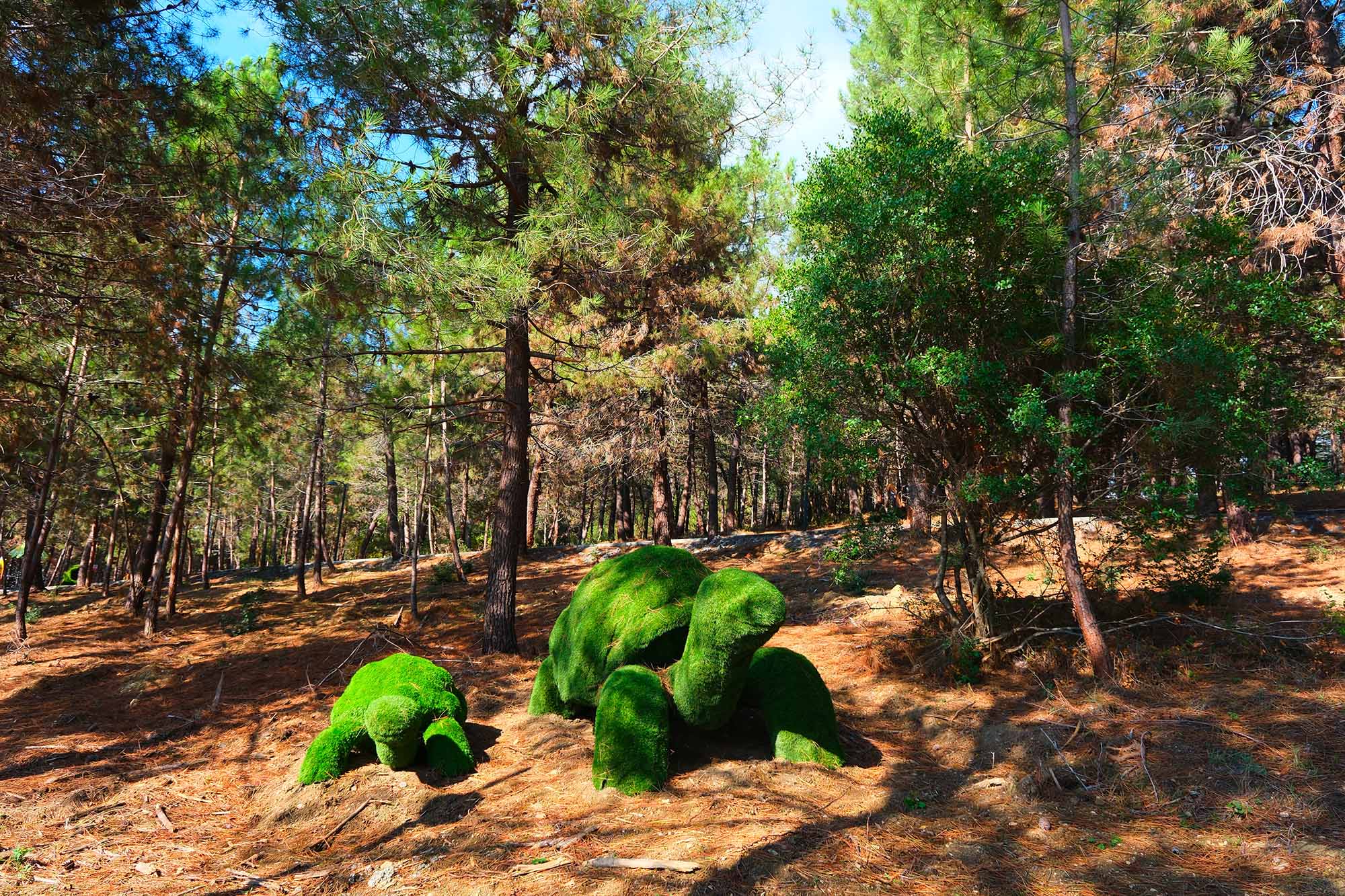 A5F6B9D3 Eebd 4Ee5 8822 6E38651662B8