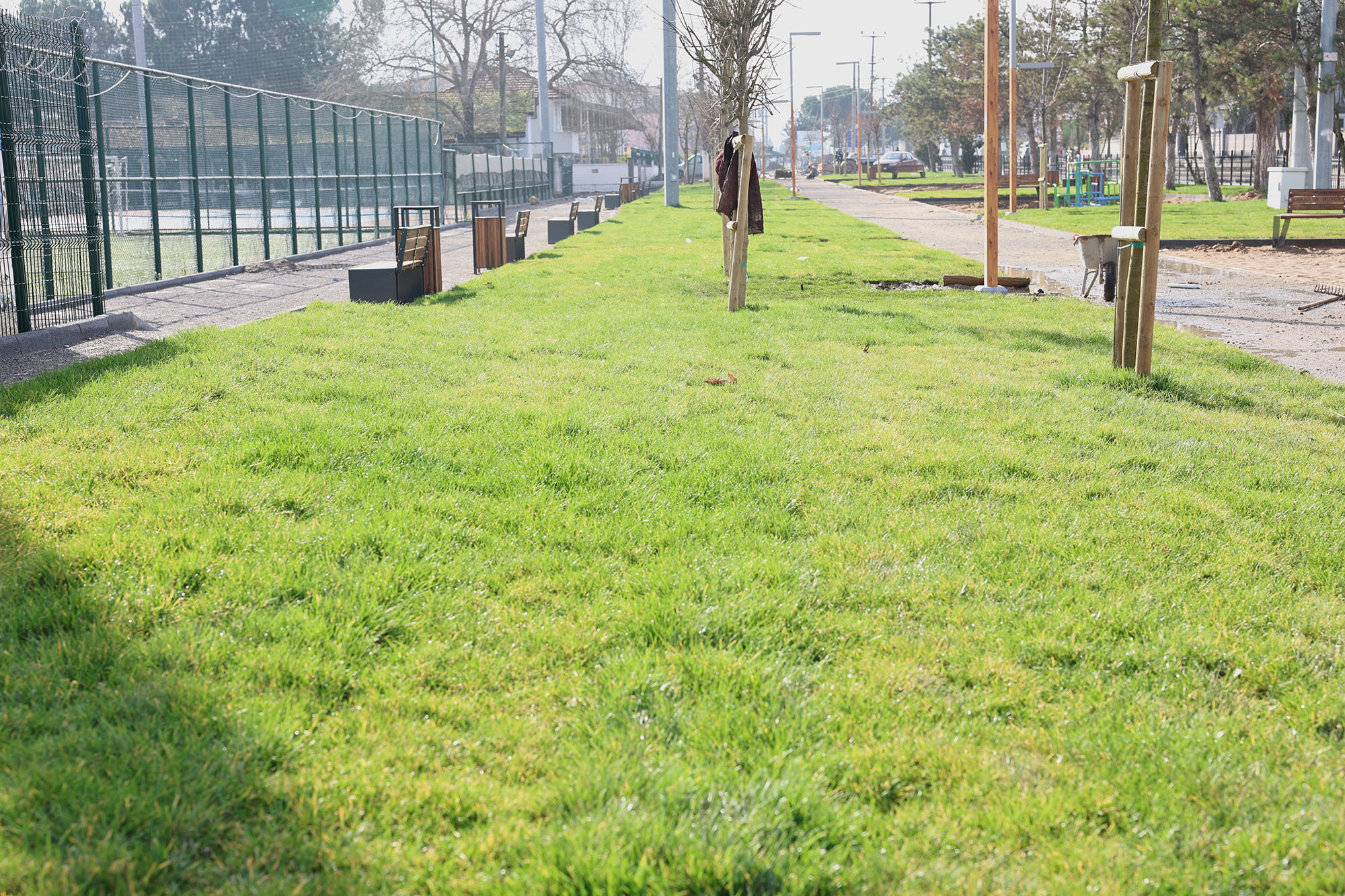 A8887Caf C709 45Fb 9E60 6A3Cf14C6857