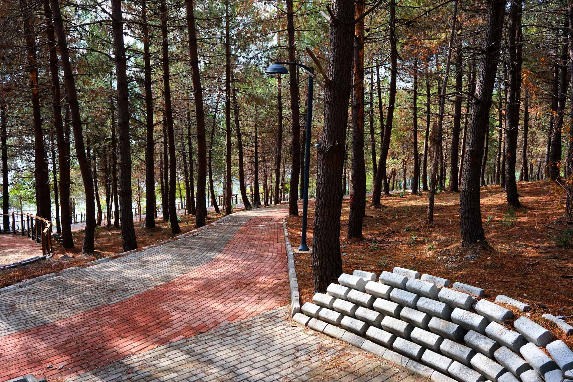 B82Ac89A 3Ddb 4Ee3 9Bd9 Bce83068135F