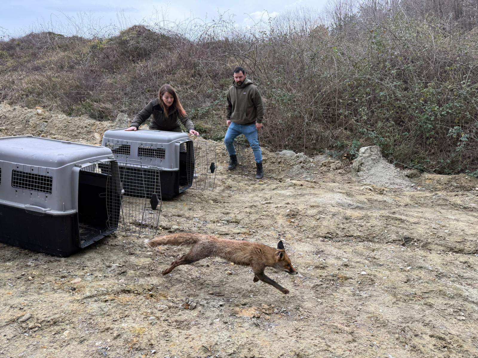 Cc051B00 1Fe2 4D3C Bc28 E914077A1Fc5