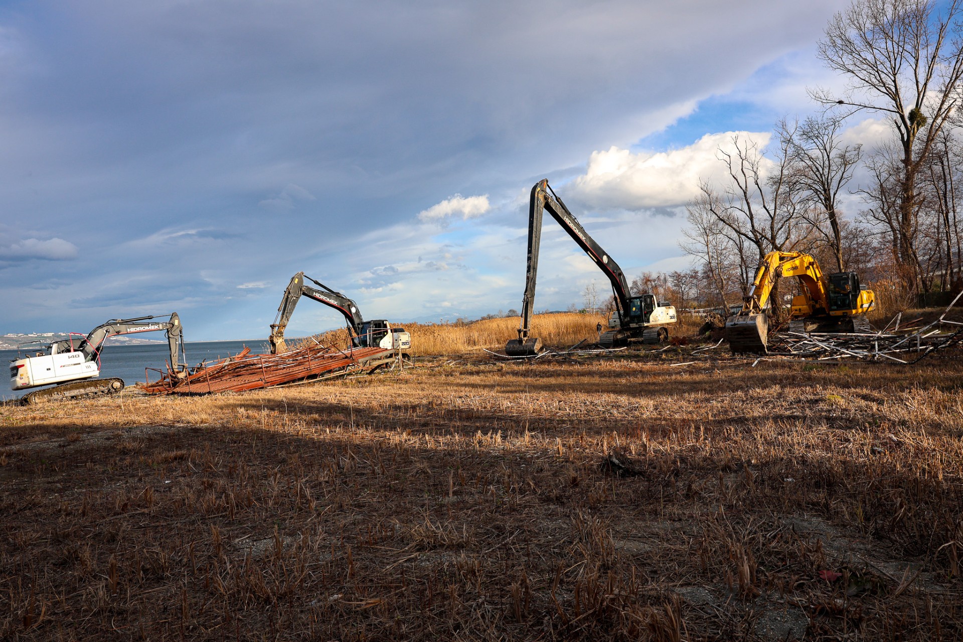 D443Cf51 Dd0C 4626 8141 11445Afae285