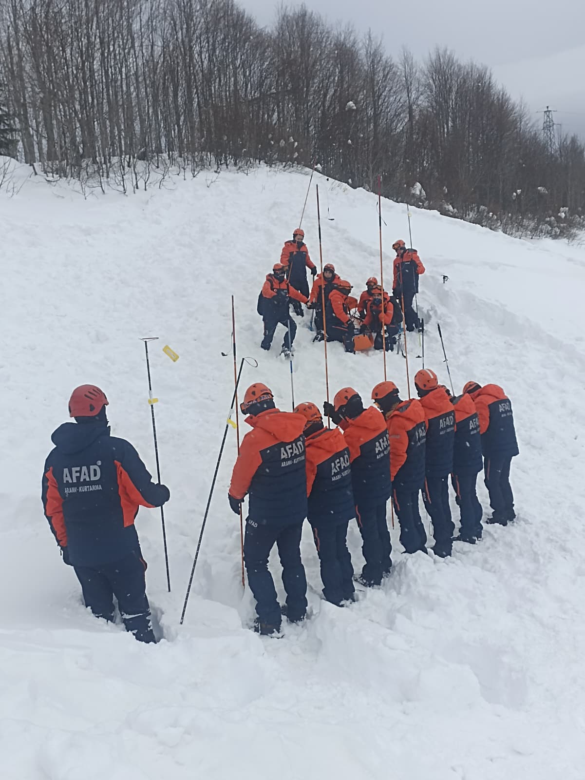 Whats App Image 2026 01 22 At 134104