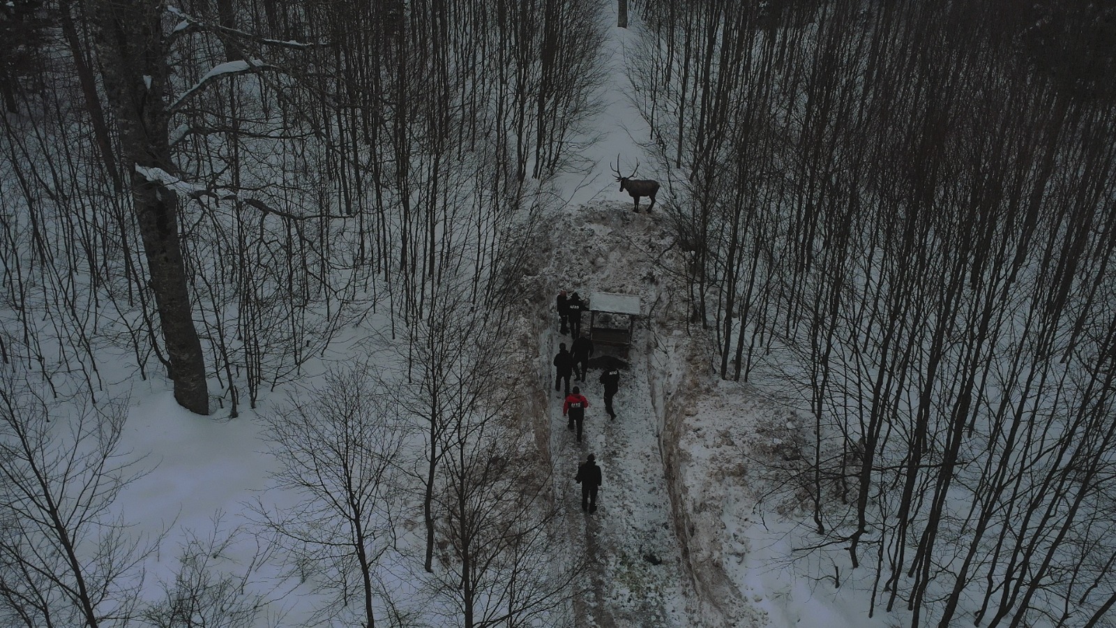 Whats App Image 2026 01 23 At 134940 1