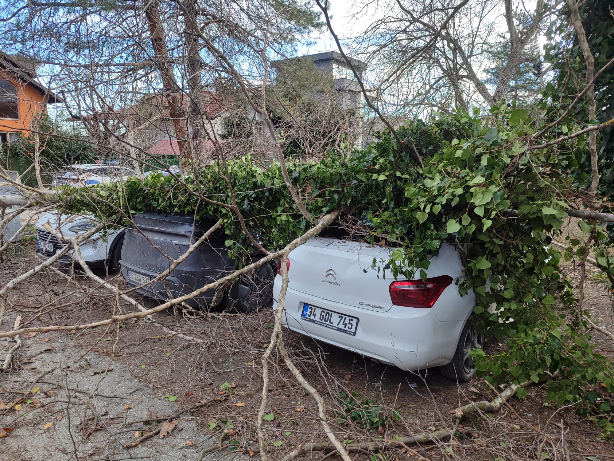 Whatsapp Image 2026 01 03 At 14.33.33