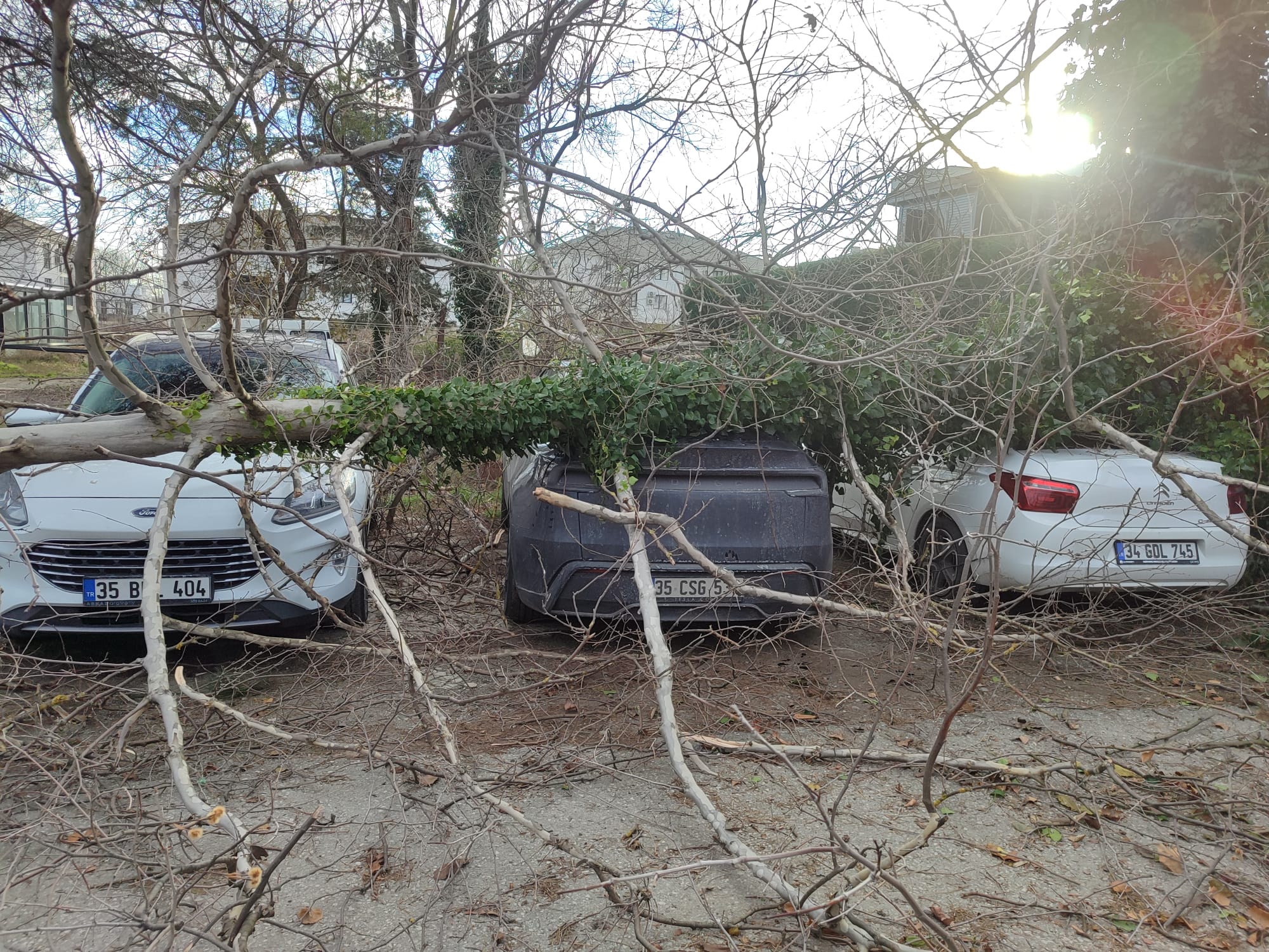 Whatsapp Image 2026 01 03 At 14.33.332