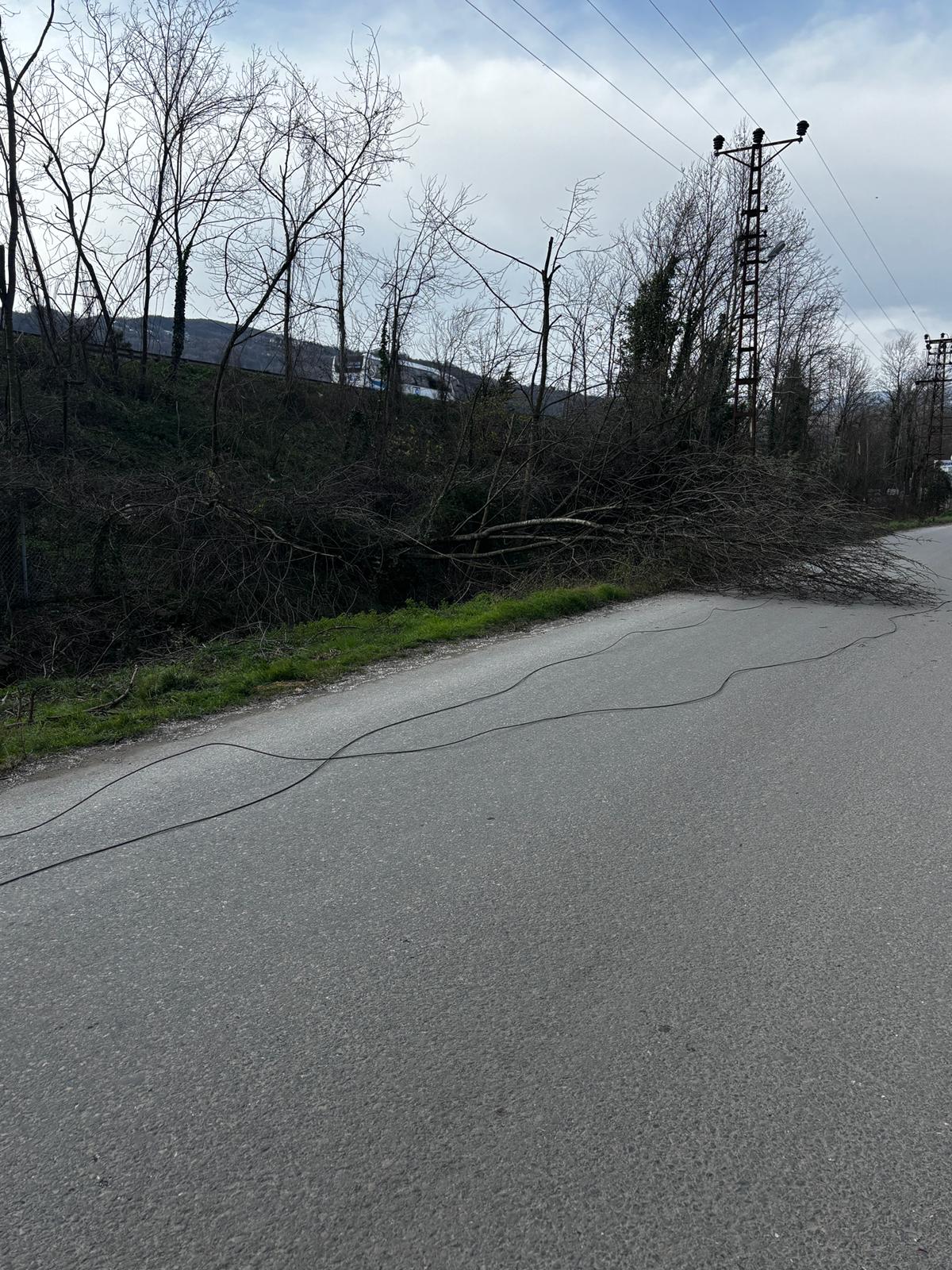 Whatsapp Image 2026 01 03 At 14.33.343