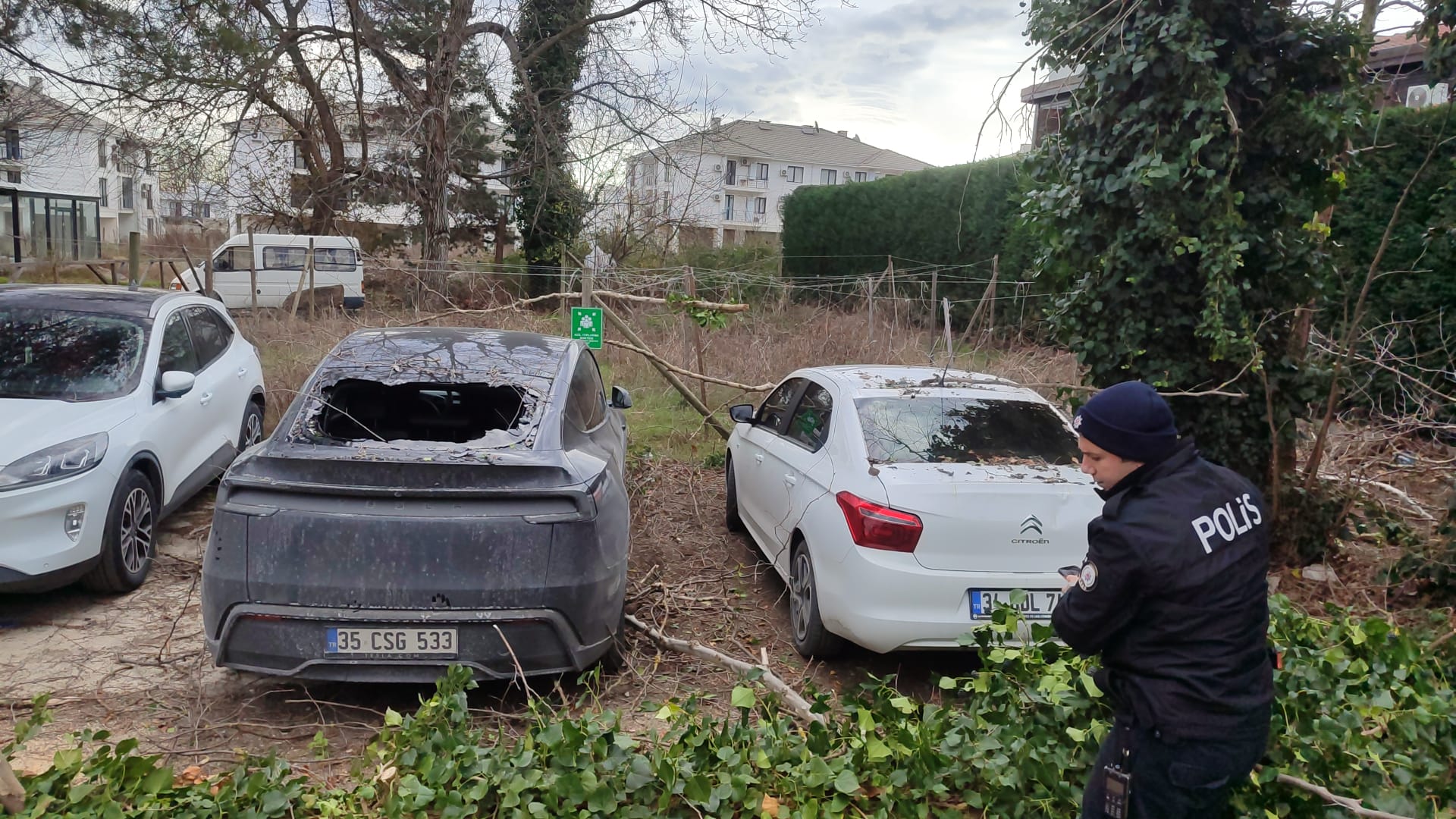 Whatsapp Image 2026 01 03 At 14.33.345