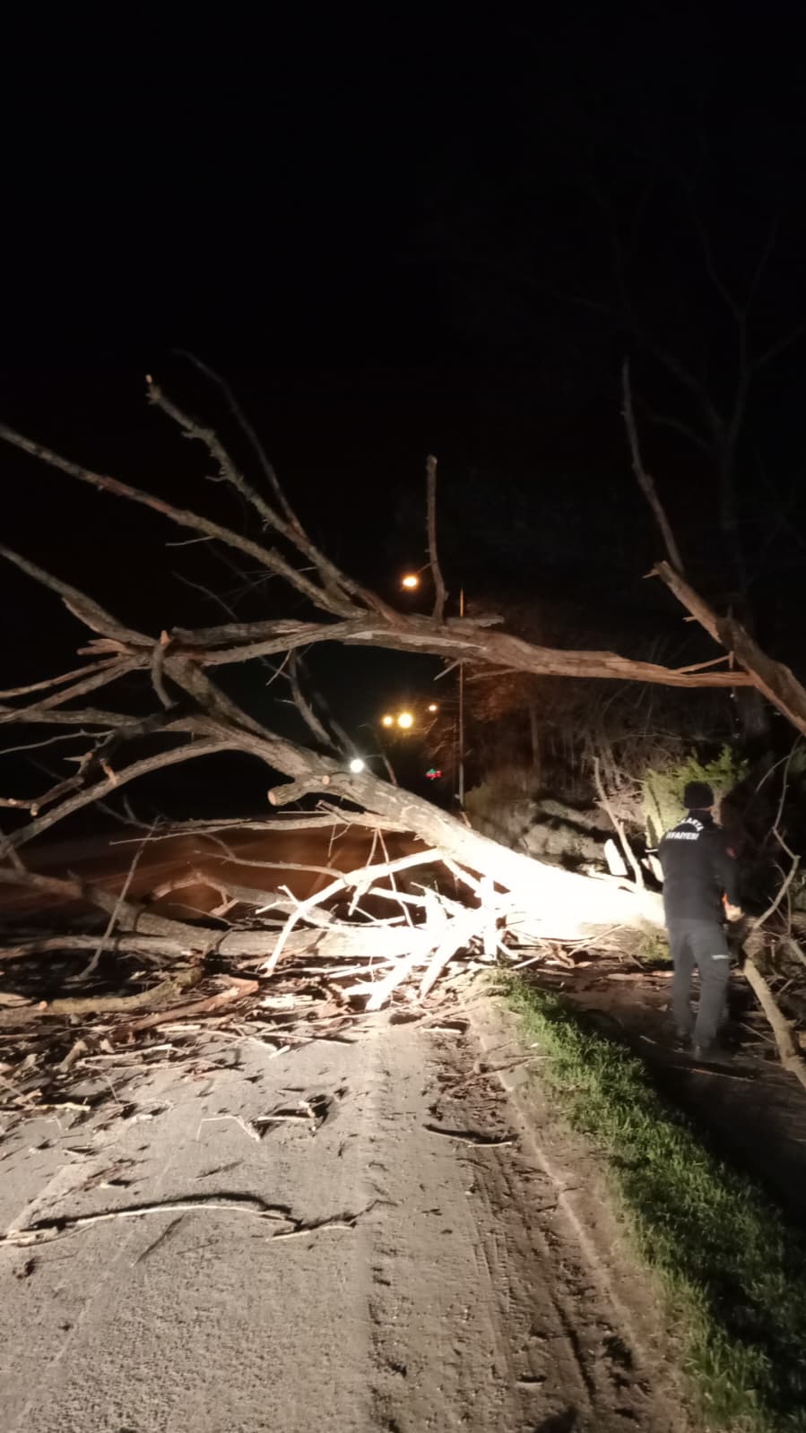 Whatsapp Image 2026 01 03 At 14.33.354