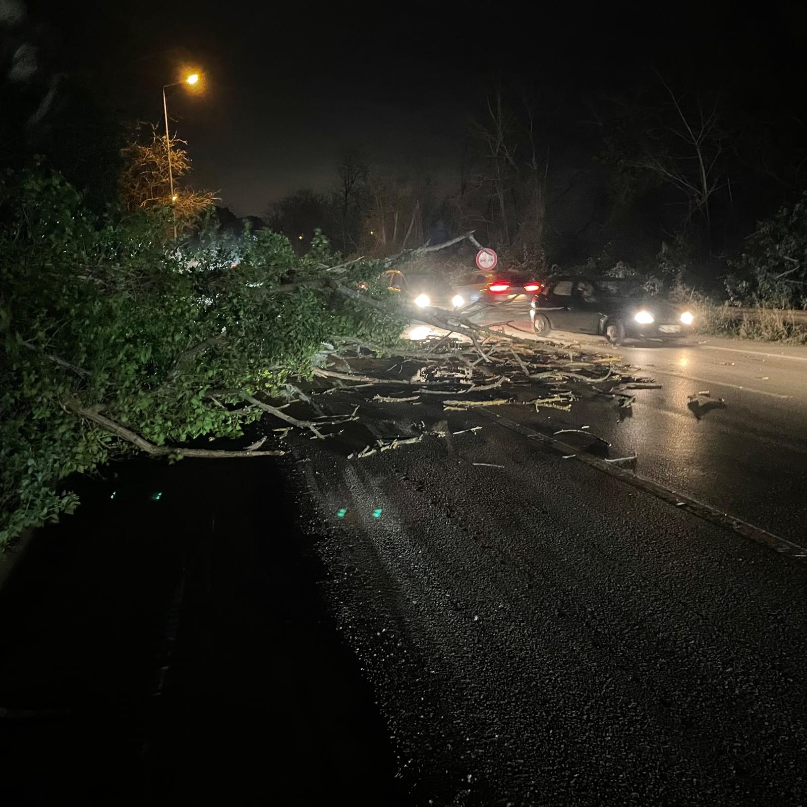 Whatsapp Image 2026 01 03 At 19.52.03