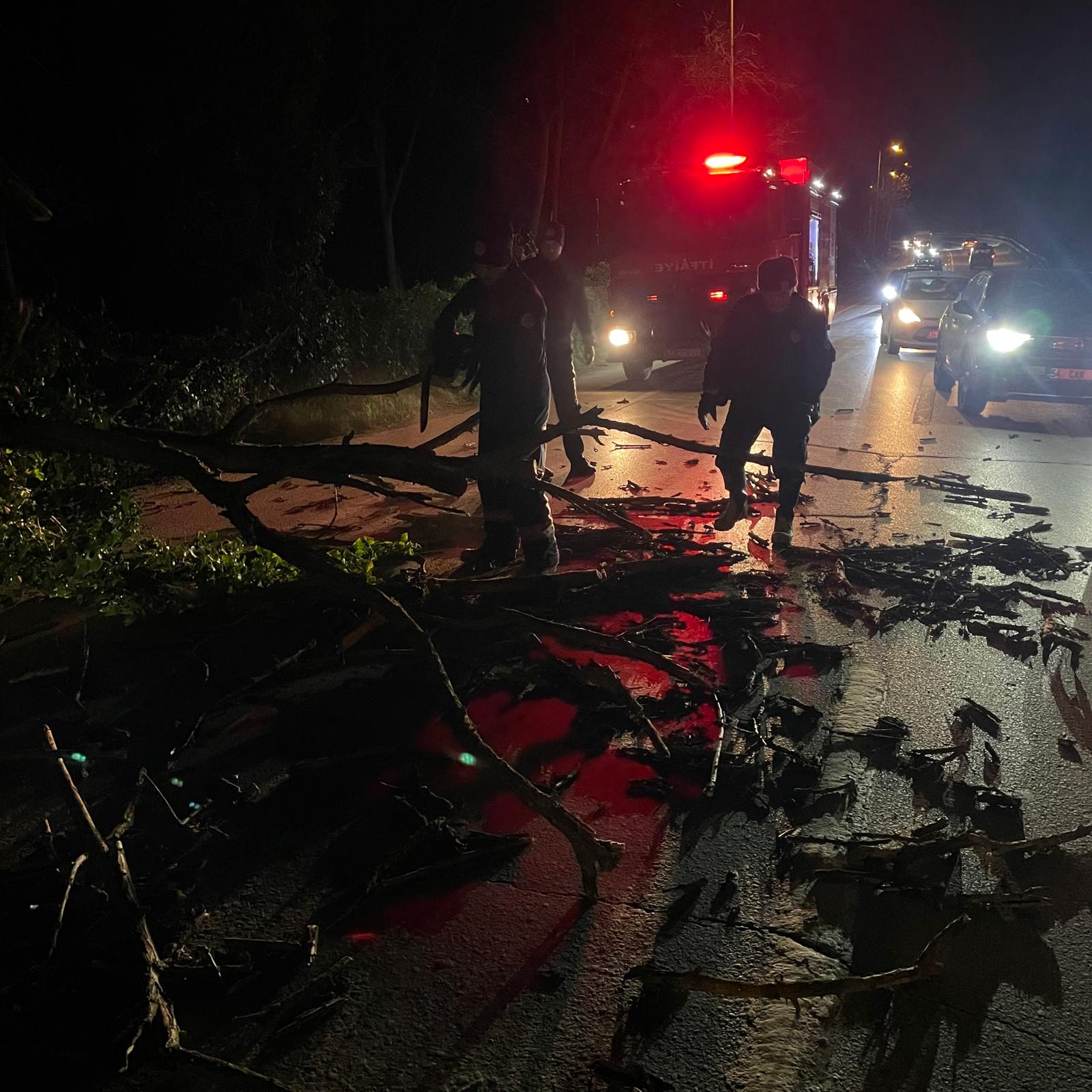 Whatsapp Image 2026 01 03 At 19.52.033