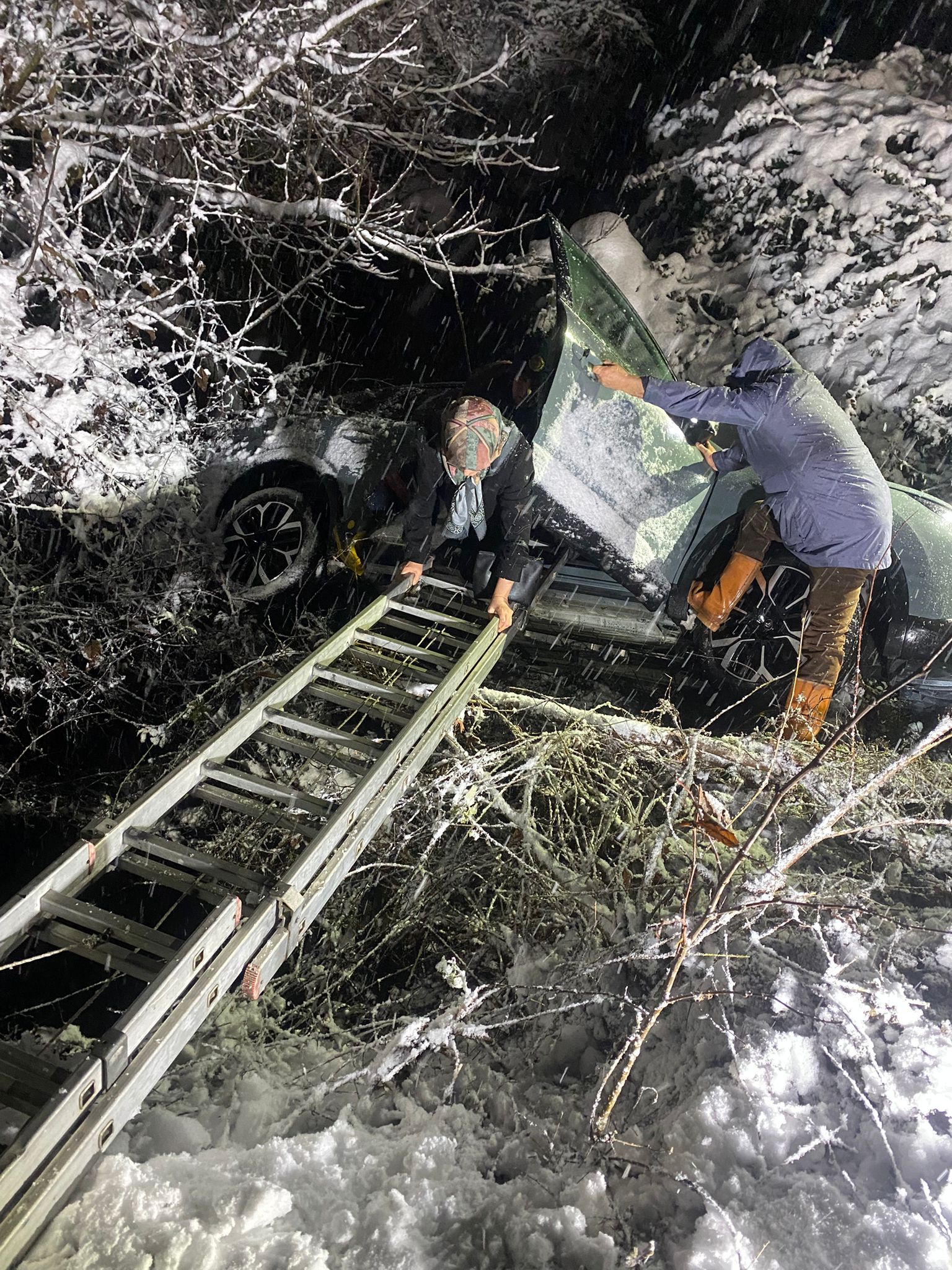 Whatsapp Image 2026 01 19 At 10.36.232