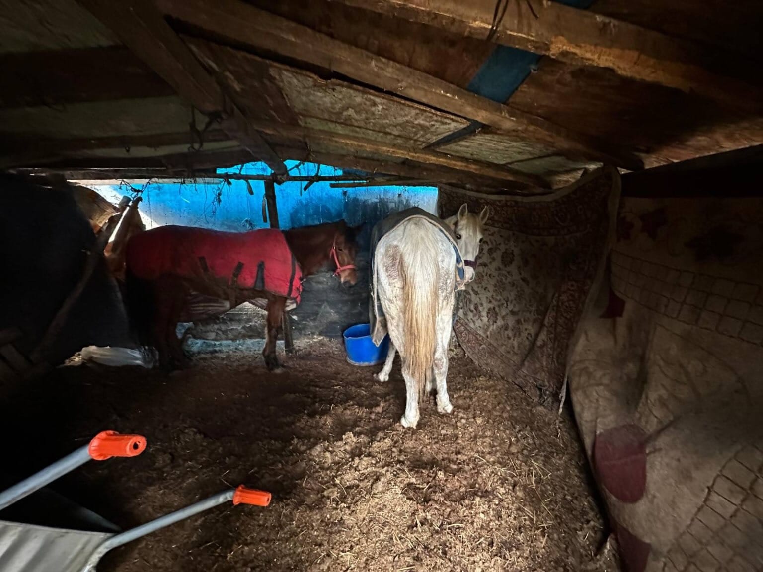 Whatsapp Image 2026 01 27 At 23.02.55