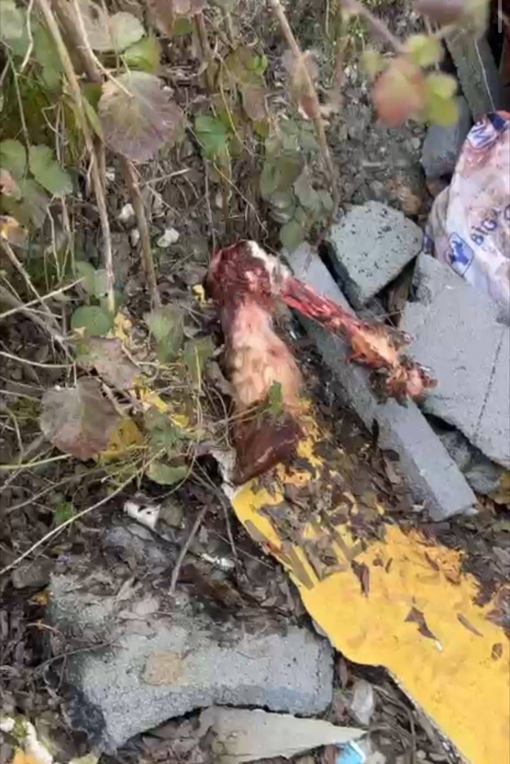 Whatsapp Image 2026 01 27 At 23.02.556