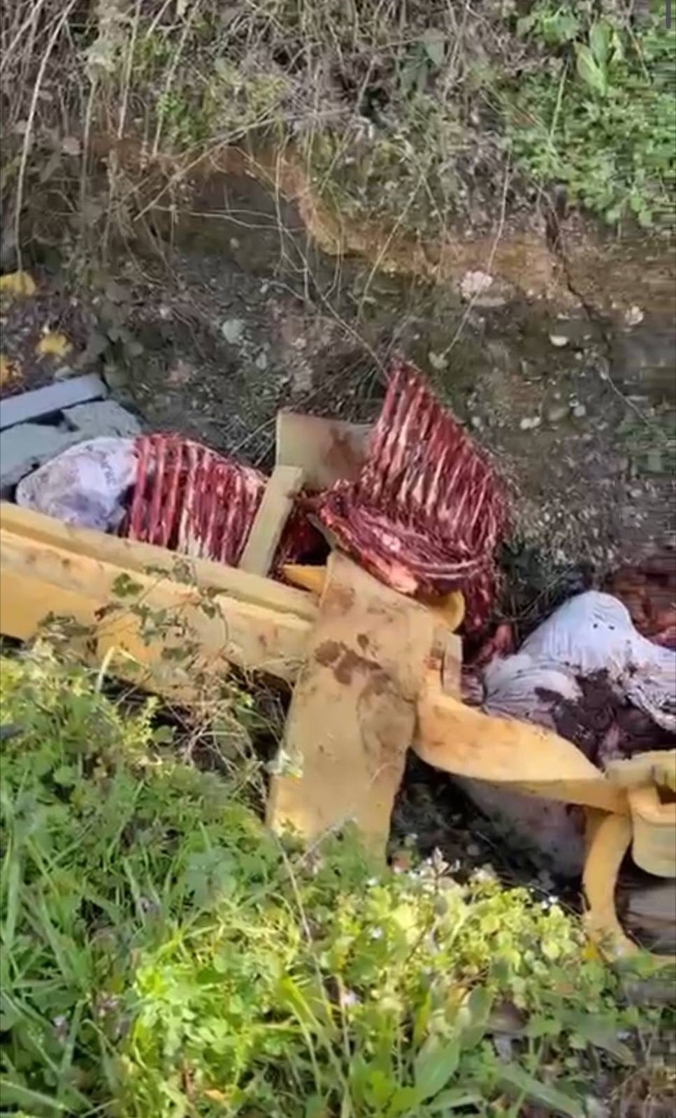 Whatsapp Image 2026 01 27 At 23.02.56